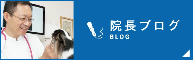 院長ブログ
